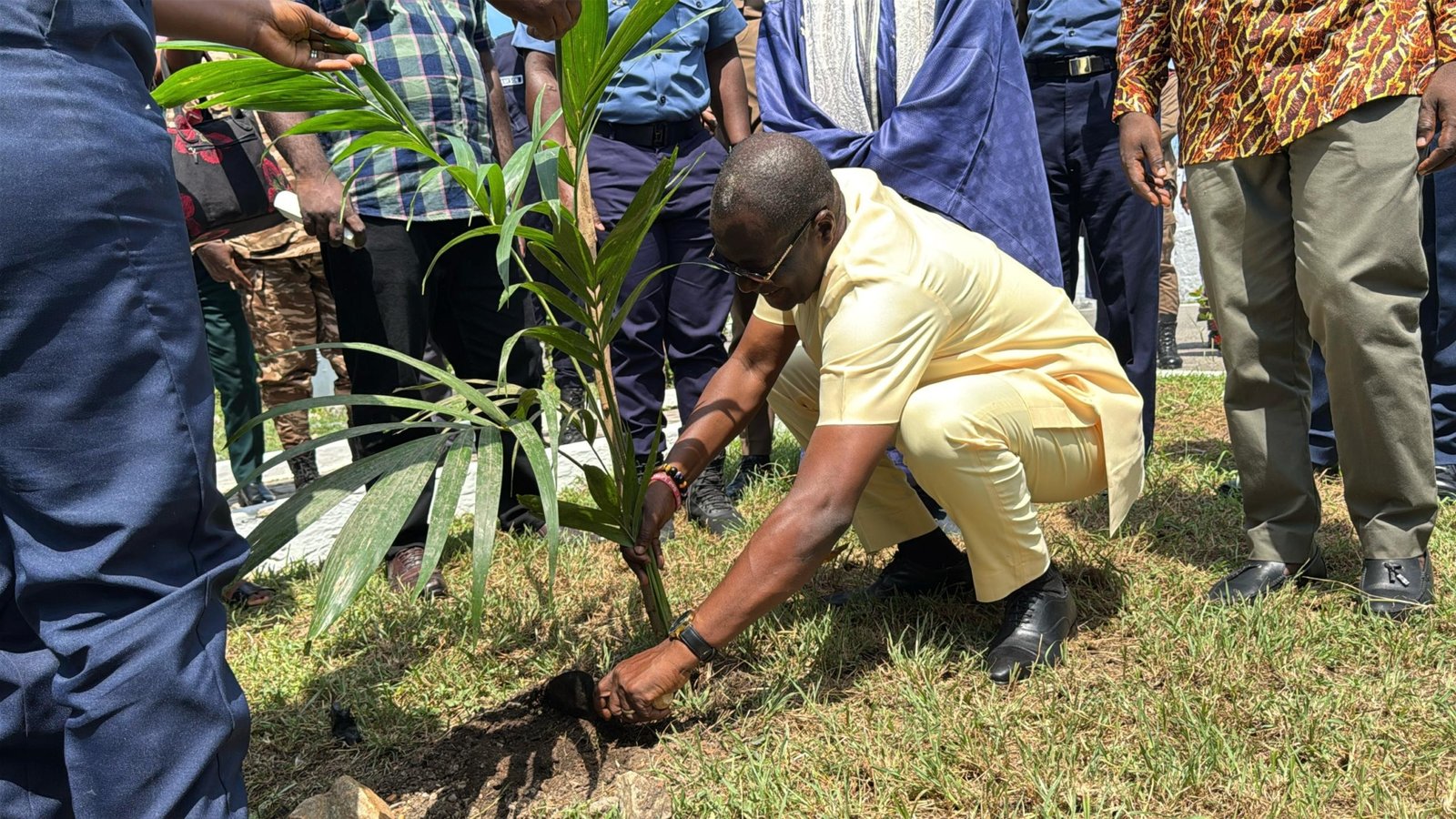Planting for the Future: Forest clubs and tree planting drive to combat environmental damage