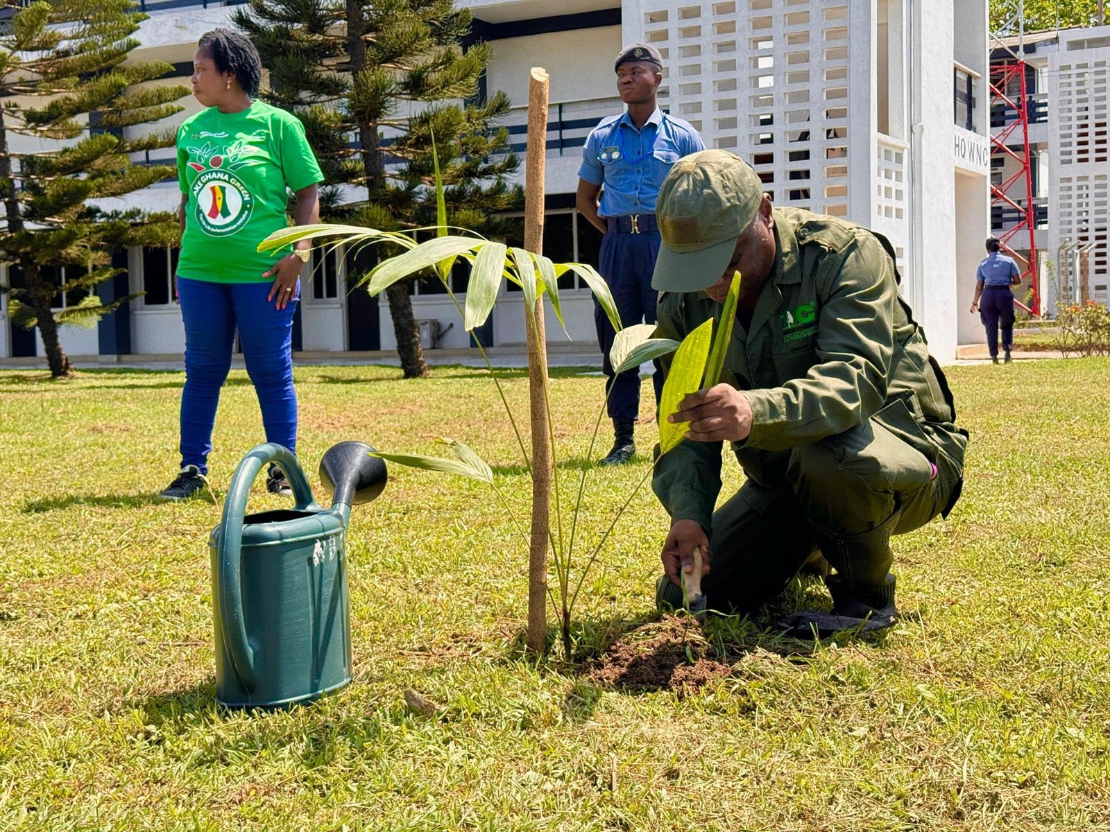 Planting for the Future: Forest clubs and tree planting drive to combat environmental damage