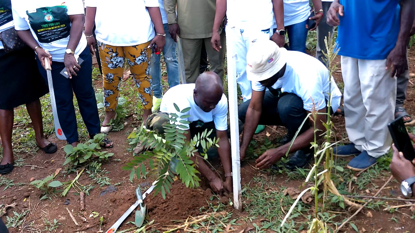 Atwima Nwabiagya South MCE takes steps to reclaim degraded lands through tree planting
