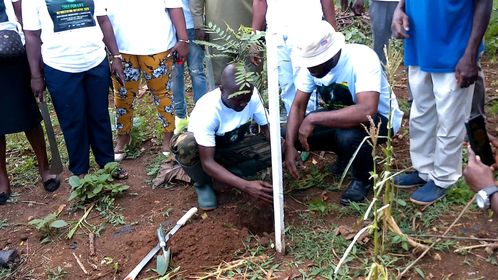 Atwima Nwabiagya South MCE takes steps to reclaim degraded lands through tree planting